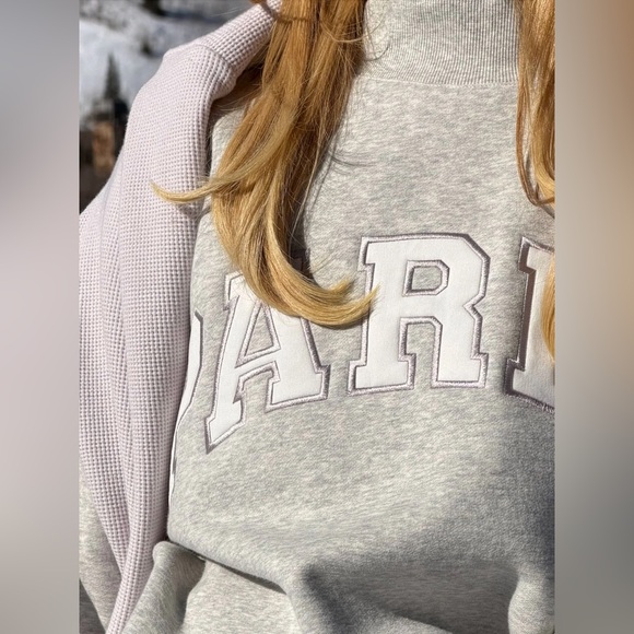 NWT Parke Fleece Light Gray Metallic Varsity MOCKNECK Sweatshirt with Logo - Picture 3 of 4